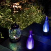 Night Garden.jpg. Keywords: Andy Morley;